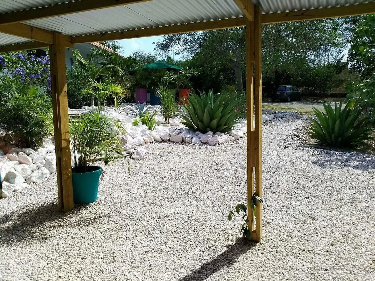 Abaai Resort Julianadorp Appartement