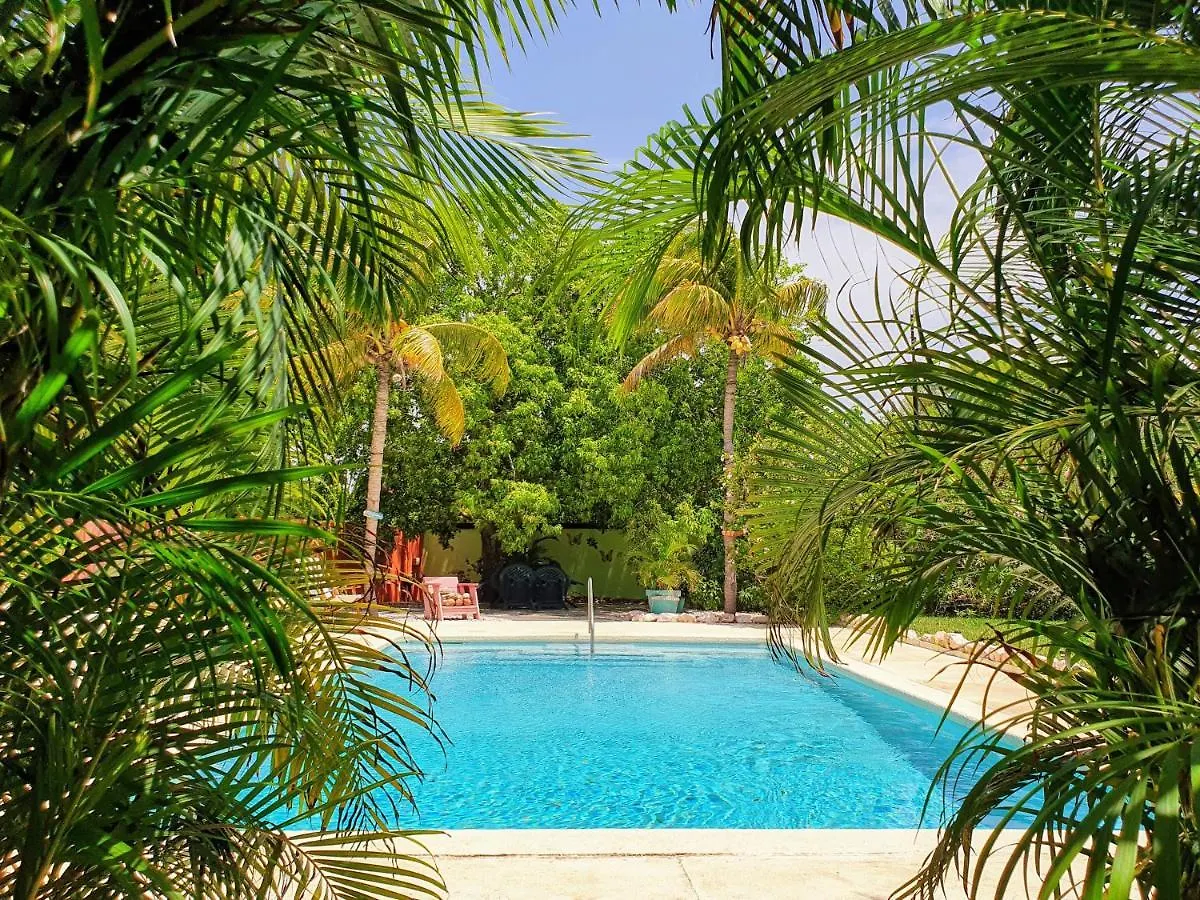 Abaai Resort Julianadorp